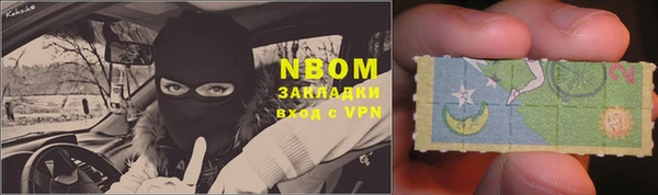 прущие грибы Алексин