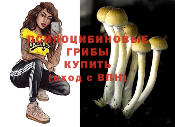 бошки Алзамай